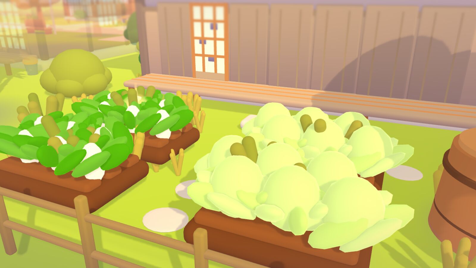 Raised garden beds full of cabbages and greens beside a wooden fence.